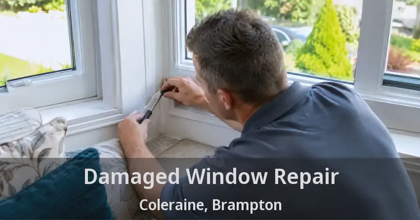 Damaged Window Repair Coleraine, Brampton - ON