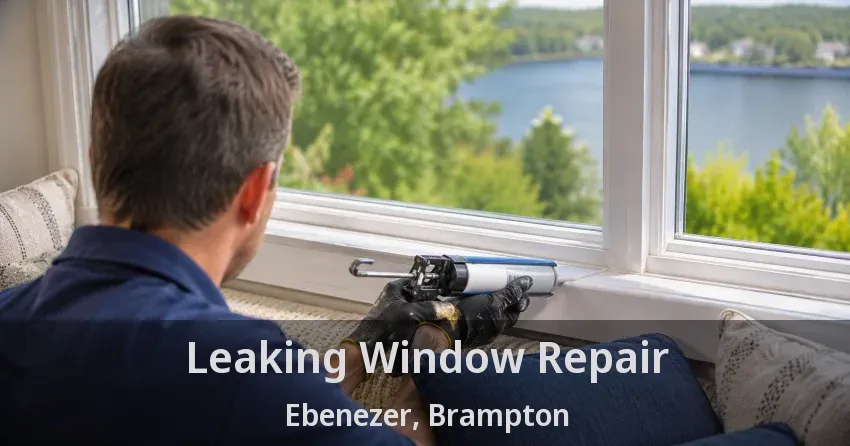 Leaking Window Repair Ebenezer, Brampton - ON