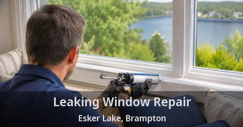 Leaking Window Repair Esker Lake, Brampton - ON
