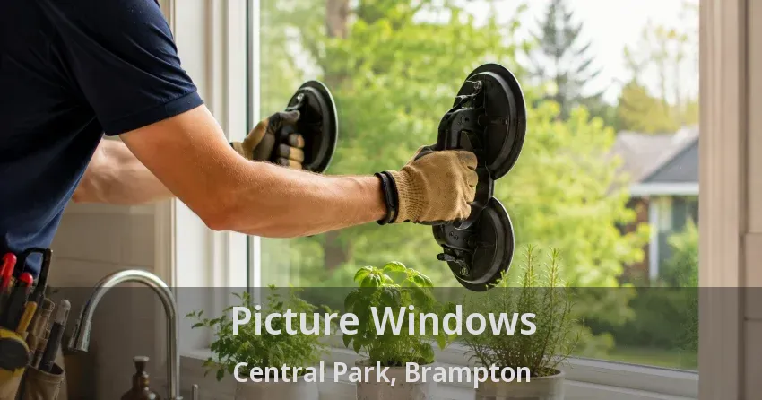 Picture Windows Central Park, Brampton - ON